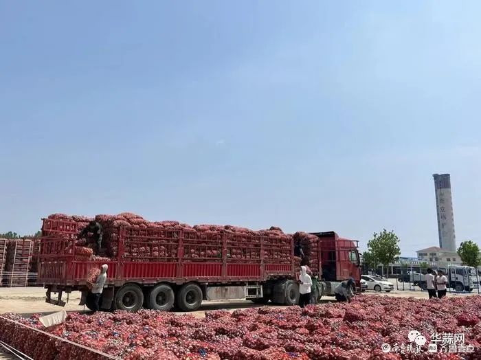 微信图片_20230523150136.jpg