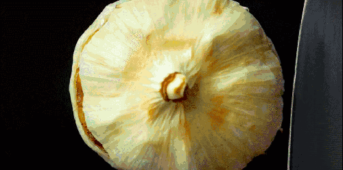 fc581bbcbb6f552393944a7497acf713.gif