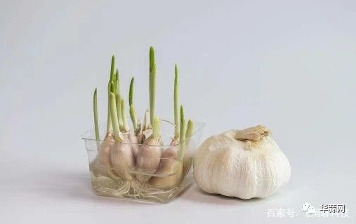 4492ebfa8f5a7346eae6e54a531bb34f.jpg