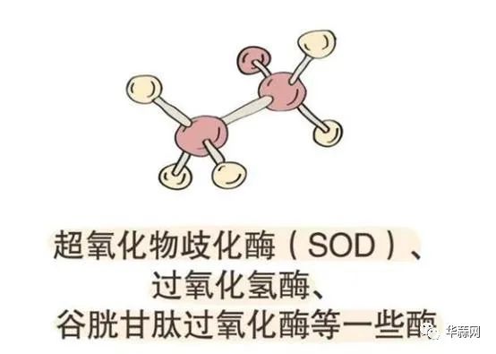 1c64025da6c8b66e29a23403689f80db.jpg