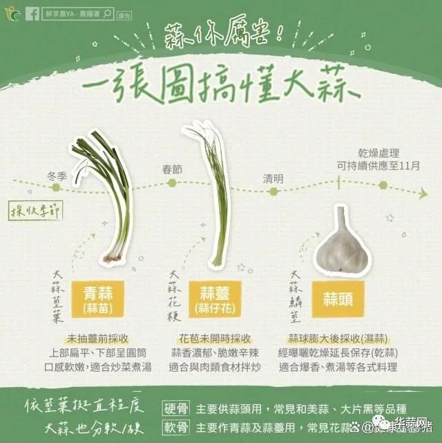 bf0529777cb8c77e43a8ce5dffdf7cda.jpg