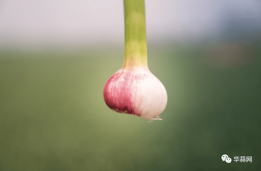 e2368a80325e01286c7f0567d680007c.png