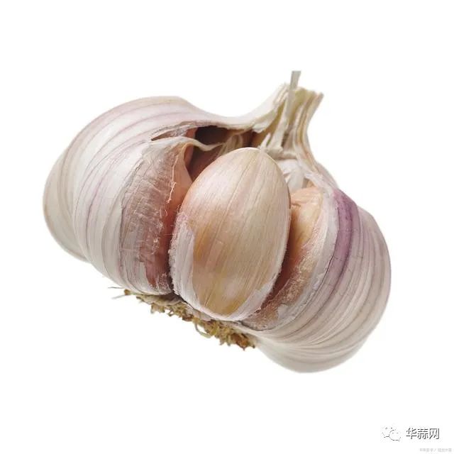 ddb9b5280148b1c264863e9cbfd6a7a7.jpg