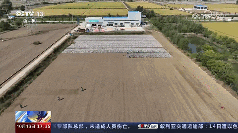 c7381434d164980620c74b1e01d31def.gif