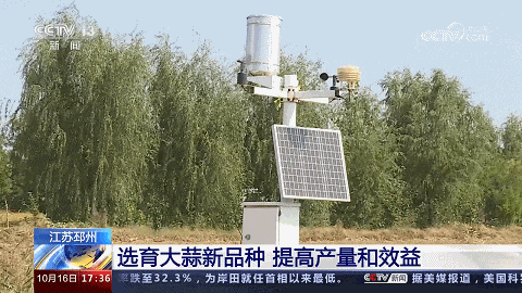 377751b1461b4700518a224e4cf32e89.gif