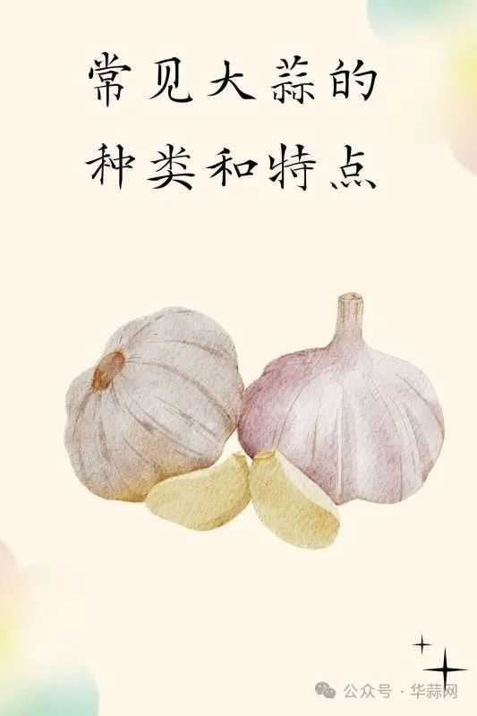 9624cd2d9419f6c12feea015f5d967d0.jpg