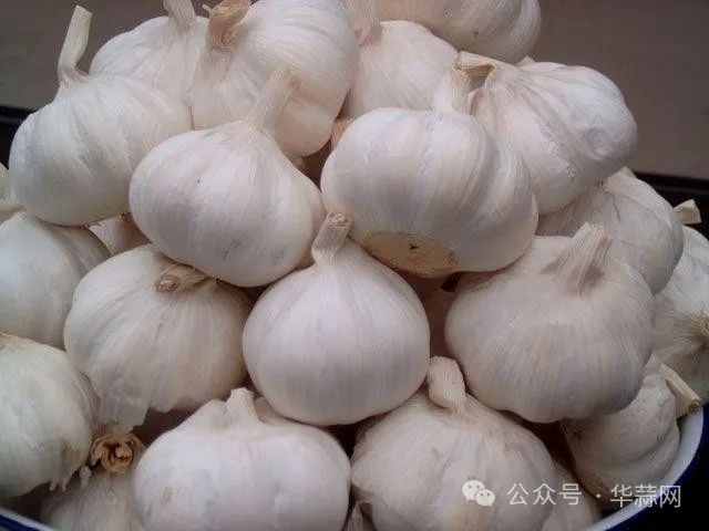 5e517e5f00524adcc60cf4ab9d2d5e0e.jpg