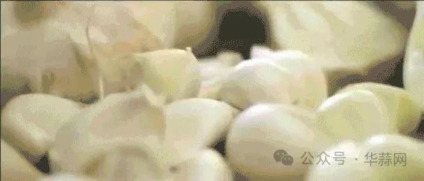 5ee7d64ac339f00c1eb0ad509005130f.jpg