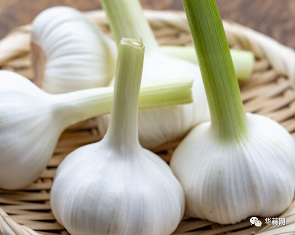 2ff9cdfd5d11fe8f83f36ce878080c04.png