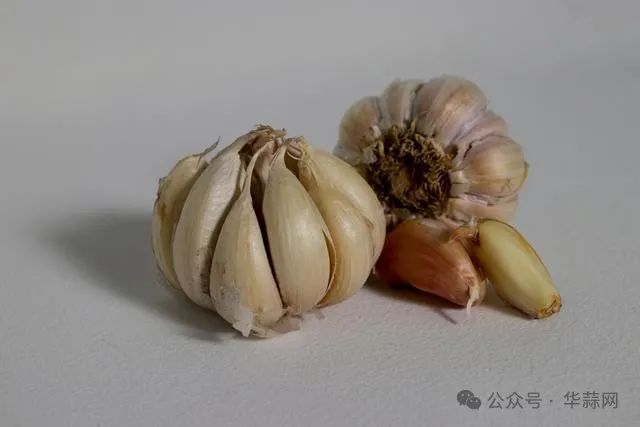ce7d974e531acfac2e875d39ecea89f9.jpg