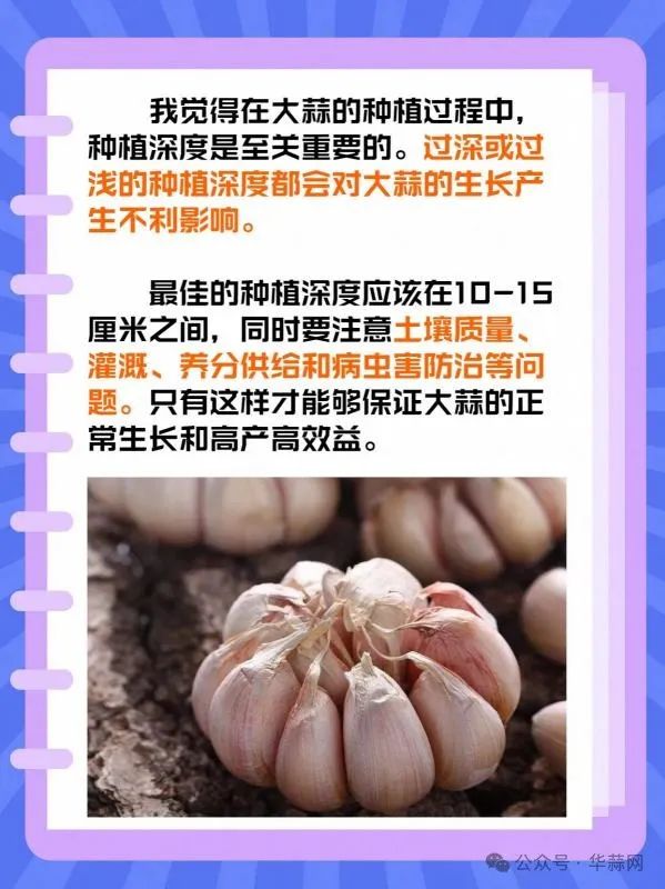 08fc6fb80808e7752f852ad882782ad8.jpg