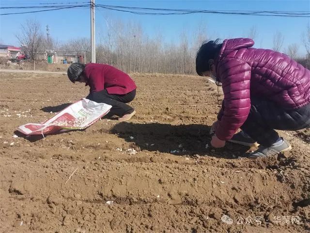 dd7473073033709a44ad611bc2b7c427.jpg