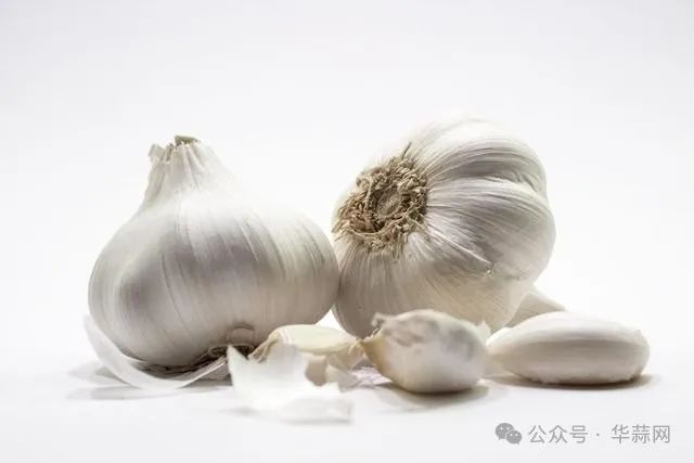 41ec7c086379aae6bbdba8141c32e0a4.jpg