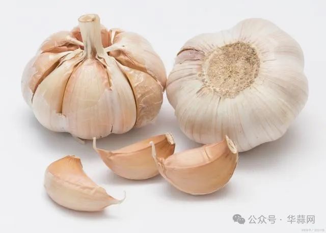 ece2686b6c18aaf93d818899c9df9e2e.jpg