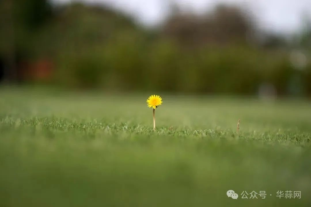 ad5a75443990c5f198abfae048ec778f.jpg
