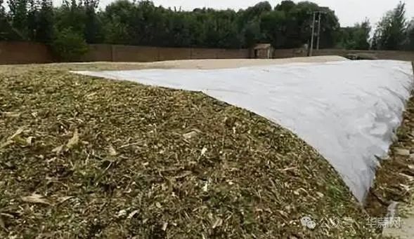 7b1e59cee67e16f7b4322822f50a6e14.jpg