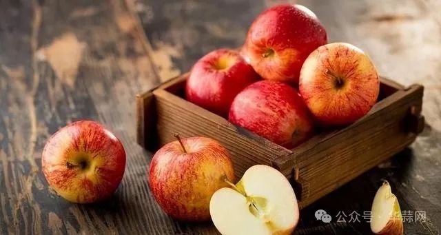 9f3c5da715b9e405ff39412ab2f6c13e.jpg