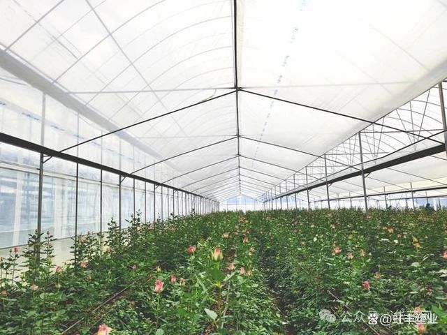 cdb419216b5aba69d0fa5e53a3533fa1.jpg