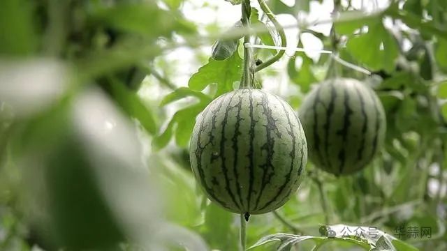 76836533d4306812d94c1c5b85365a23.jpg