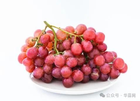 7cdfe85d649e54243019d89bb85e58e6.jpg