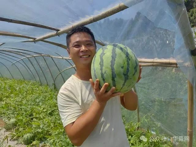 c7d433b964b98ac7acf665690d359532.jpg