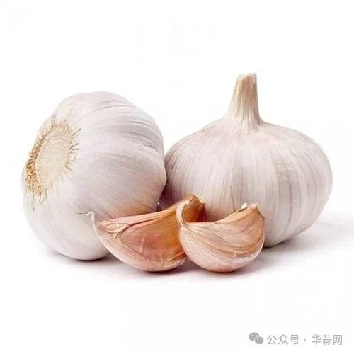 5165e6862853fdba69e553b878ae21a7.jpg