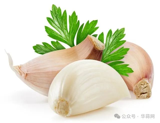 9e57e33be76509c5551e2e727354c9a7.jpg
