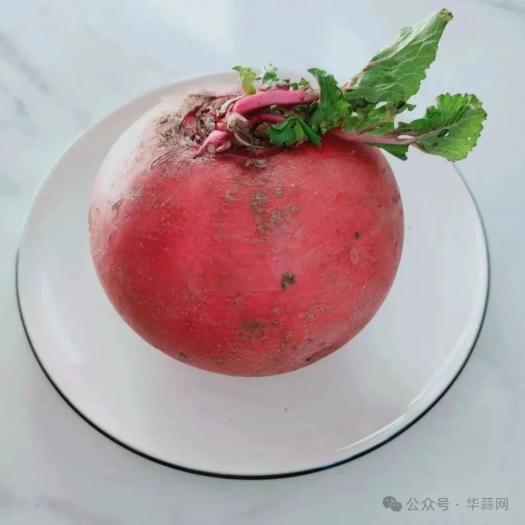 02e6271827e490ea68e2a7b99bad841a.jpg