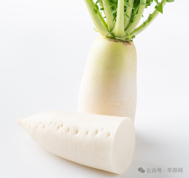 52b59509dc186e0bec45866f57f53d58.png