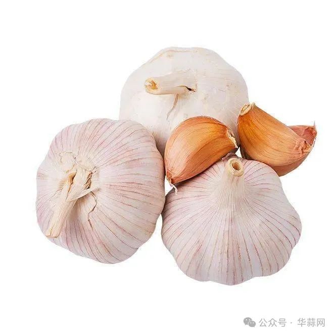 8c77c1fe67c5c35d651d233da743f81d.jpg
