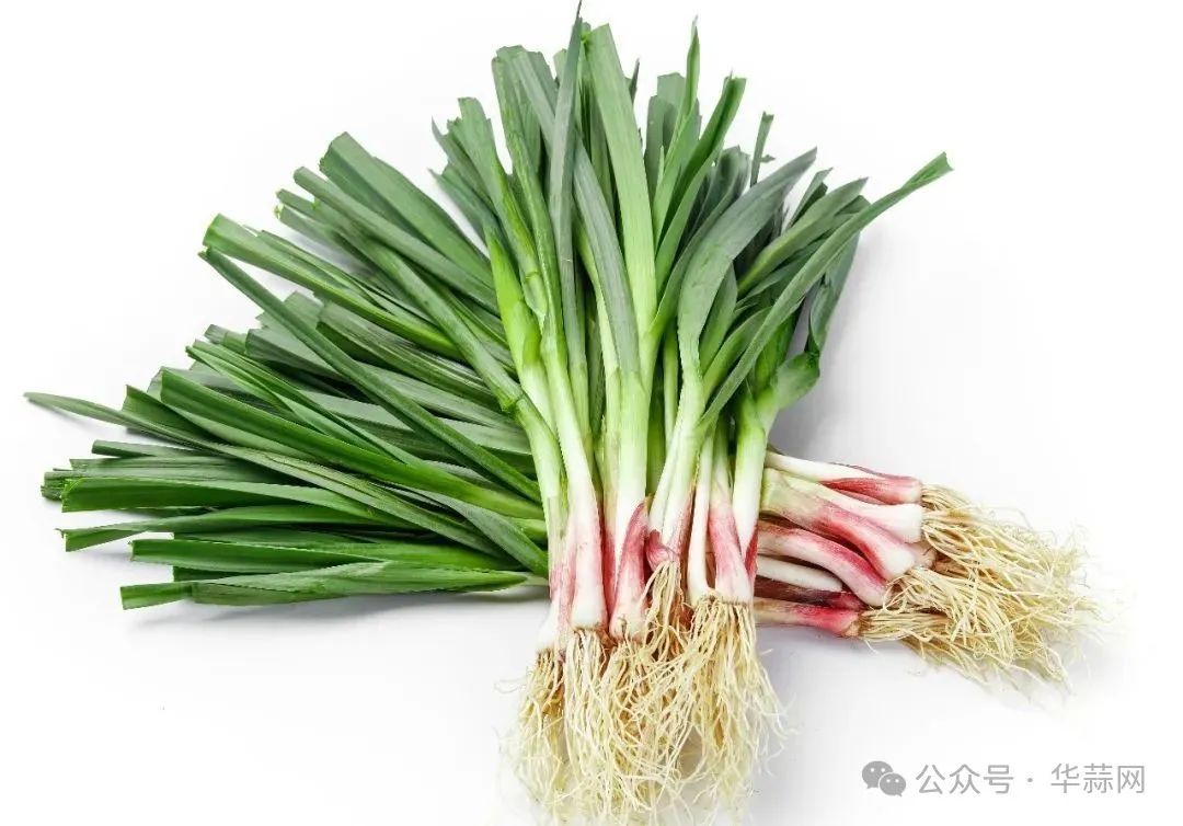 b1f8c9c854c4b8fb4bfb2ceabf0b98e7.jpg