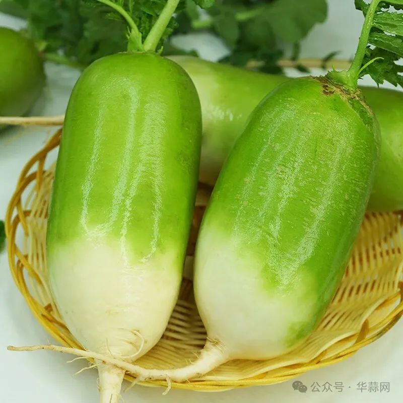 1cb91fc9000caf068000d4130e41c170.jpg