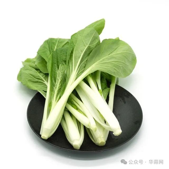 e134fd82f85a8cb43d4302a43d0ab2e5.jpg