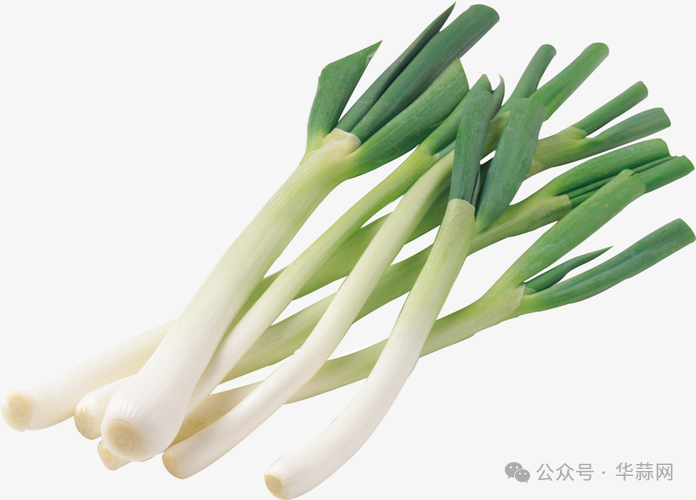 d19830beb150e8ec407f6914291c4499.png