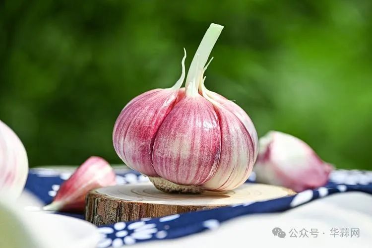 2e4e95d4f9a20a00868cdf40e73ffc58.jpg