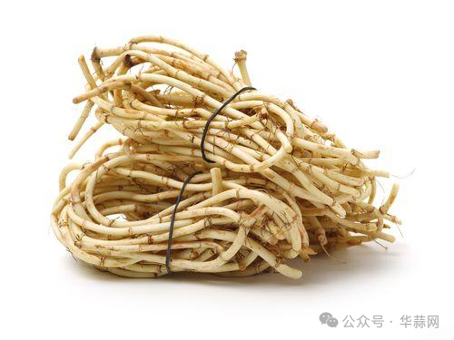 ec4860c7601c62c4d80db8d778a7b18d.png