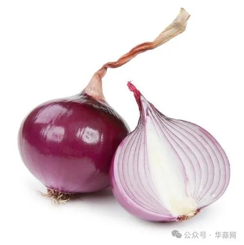 fedd7eecb3df2e16b8df566d94159c7c.jpg