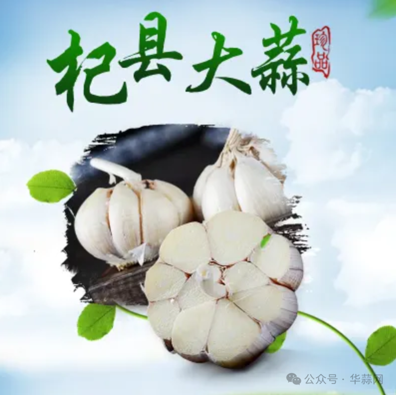 50d78187ff0ba7573ac6c8e52e314747.png