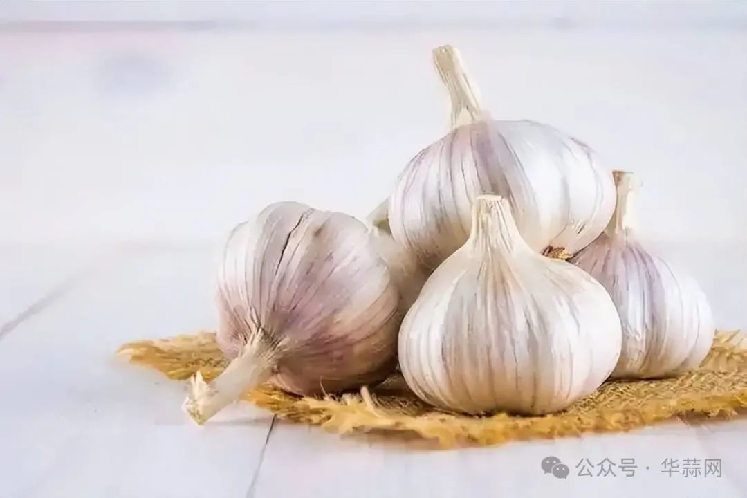 10274e5fe00d0d90b8d0be4d5c2c4239.jpg