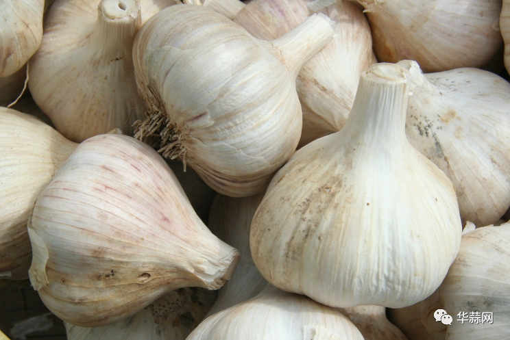 fd331764ef9729b632271a6fc4b0a3ae.png