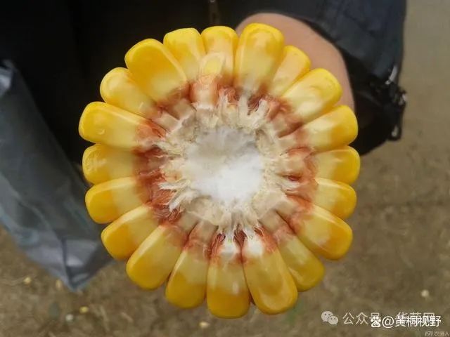 e6dc7d86dd321ef4800c0545915df91e.jpg