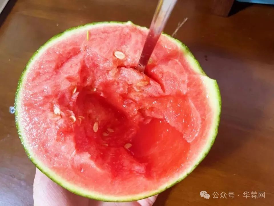 48eaaa137597ad6512e5692fd16c5e55.jpg