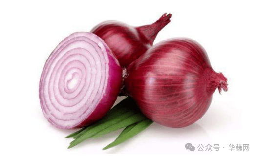d3451e3f1e3f427e4e47f24c860bcee0.png