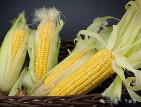 4ef858552e3e521c5a0e3a612220a508.jpg