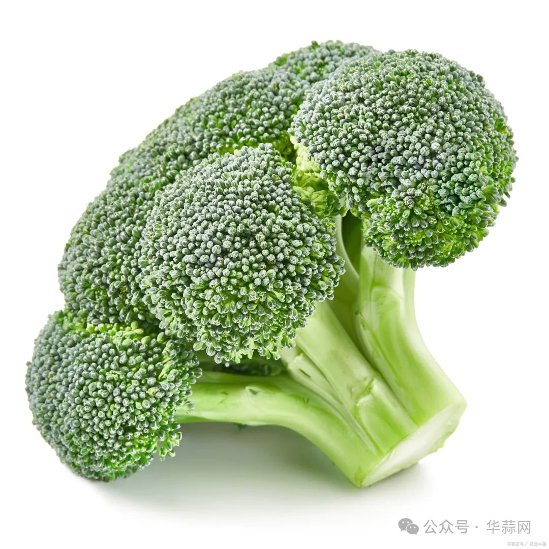ce053ff087af8ed62741604f86c86f4e.jpg