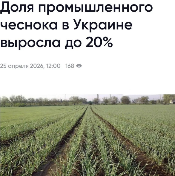e2745fcea16f12971238977d855506b1.png